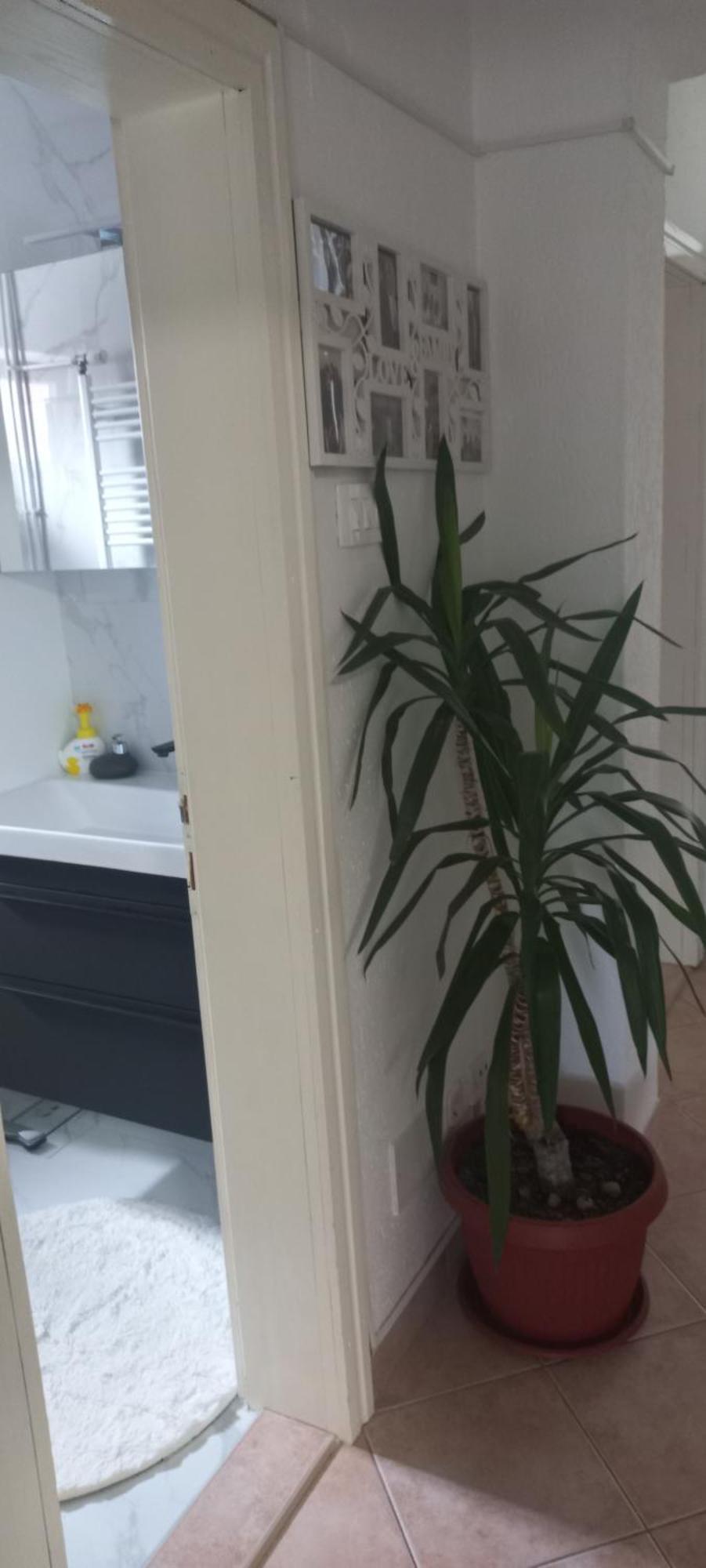 Holiday Home Peaceful Retreat Вісоко Екстер'єр фото
