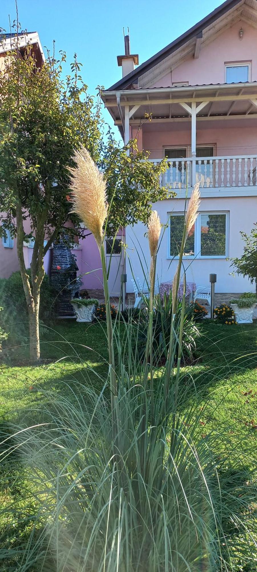 Holiday Home Peaceful Retreat Вісоко Екстер'єр фото